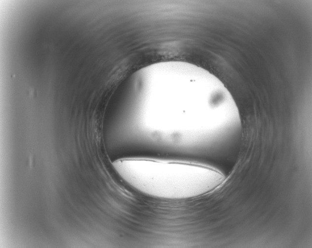 X0000066500136200603170959