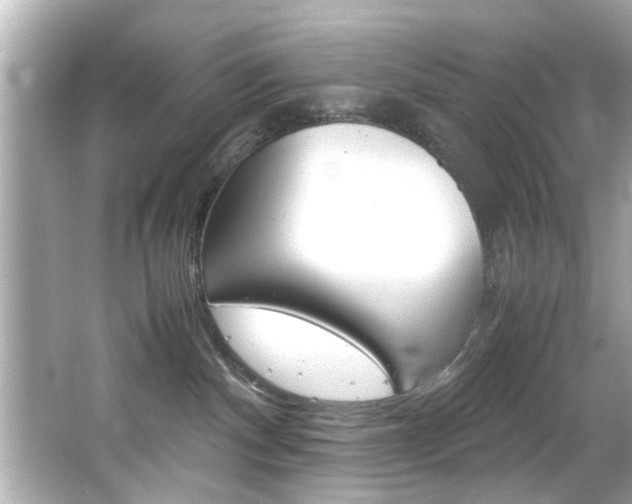 X0000066500140200603170959