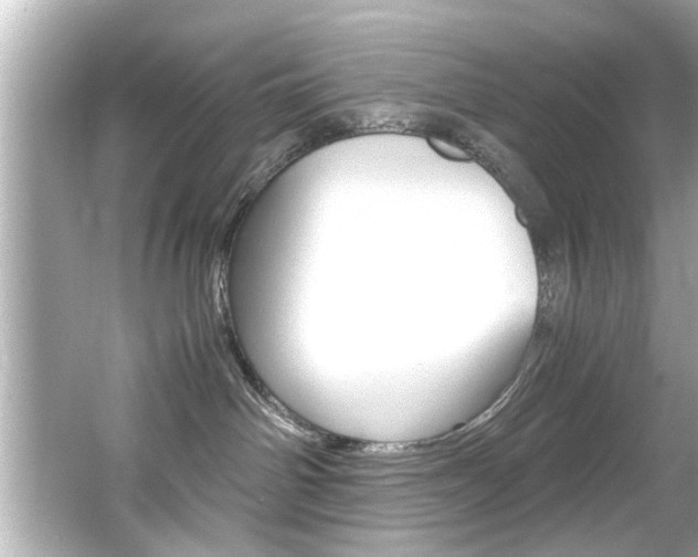 X0000066500142200603170959