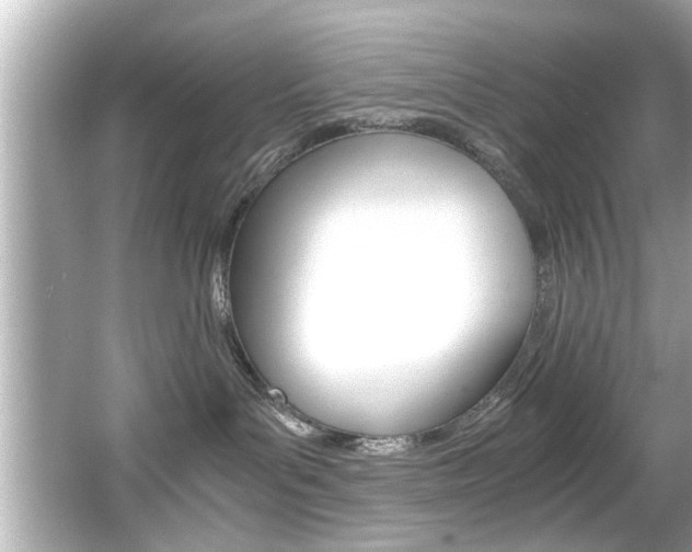 X0000066500143200603170959