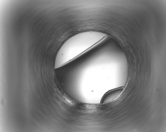 X0000066500144200603170959