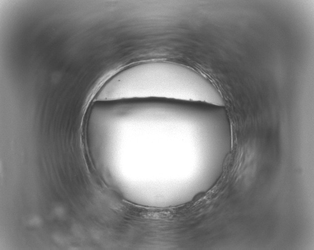X0000066500147200603170958
