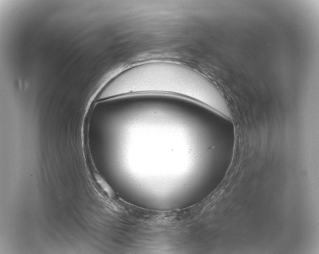 X0000066500148200603170959