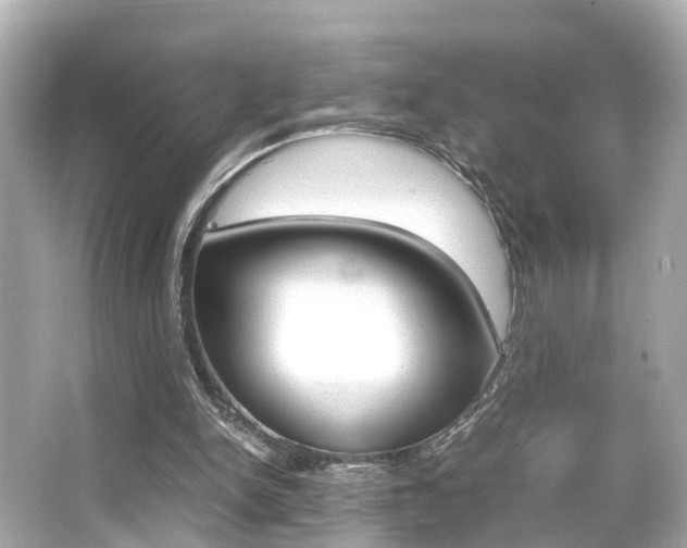X0000066500150200603170959