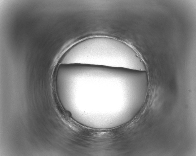 X0000066500151200603170959
