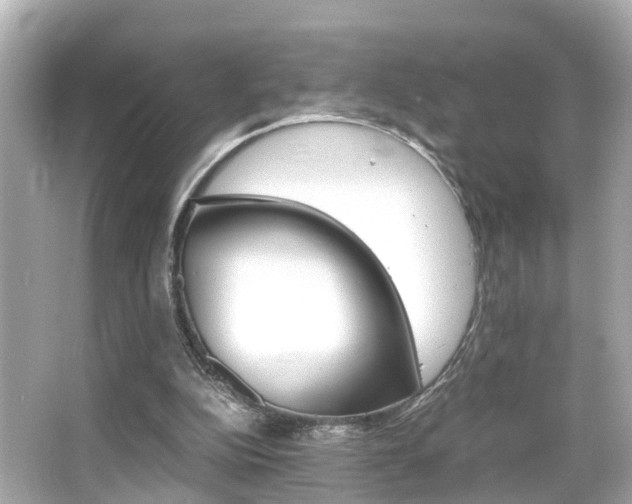 X0000066500152200603170959