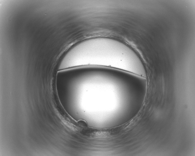 X0000066500154200603170959
