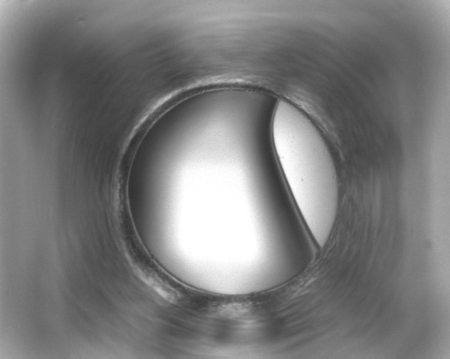 X0000066500156200603170959