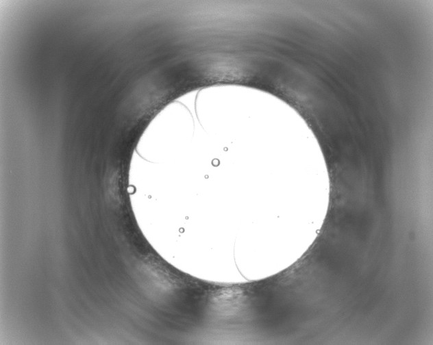 X0000066500162200603170959