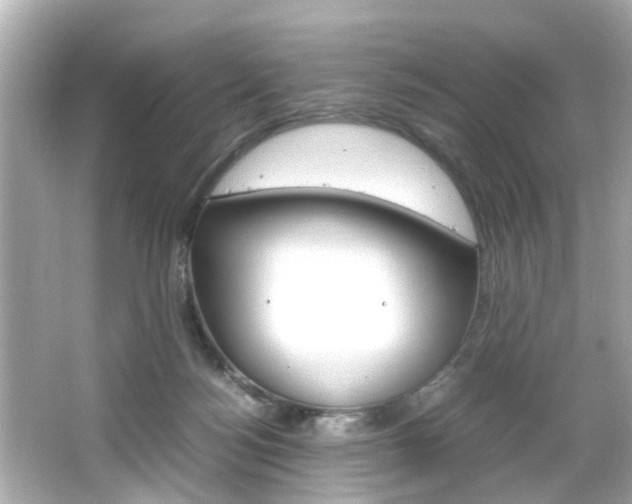 X0000066500172200603170959