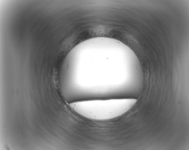 X0000066500181200603170959