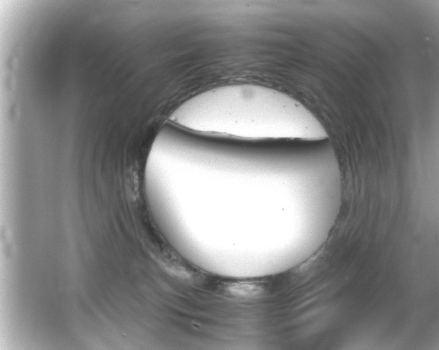 X0000066500183200603170959