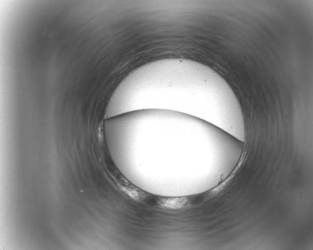 X0000066500191200603170959