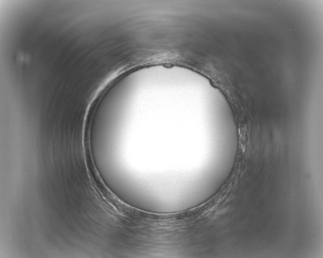 X0000066500196200603170958