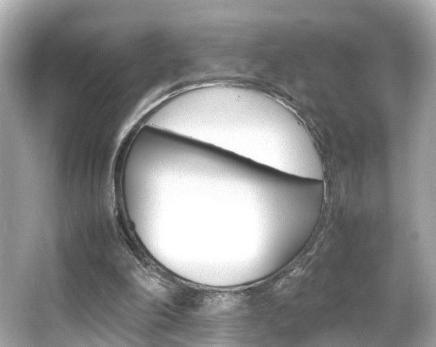 X0000066500198200603170958