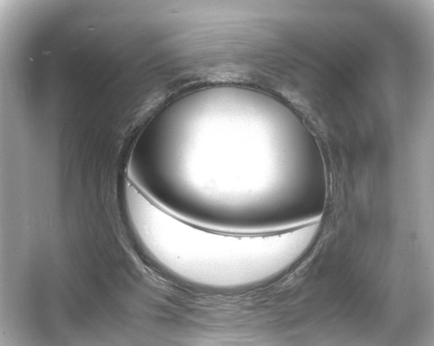 X0000066500201200603170958