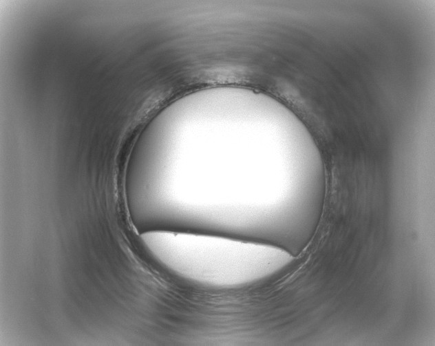 X0000066500202200603170958