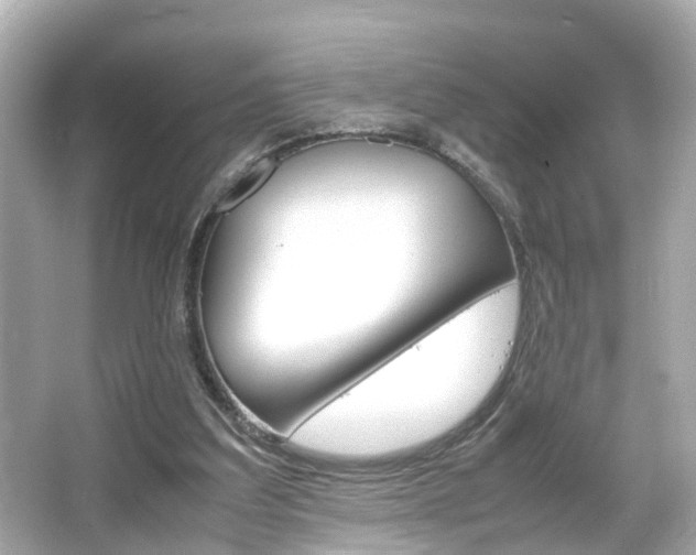 X0000066500203200603170958