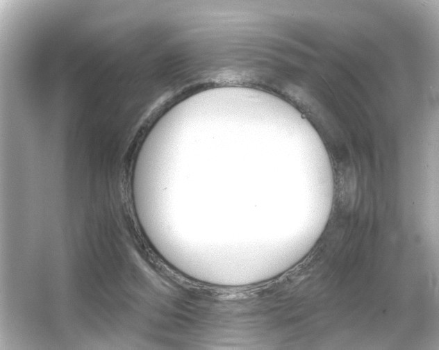 X0000066500208200603170958