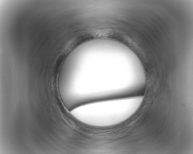X0000066500209200603170958