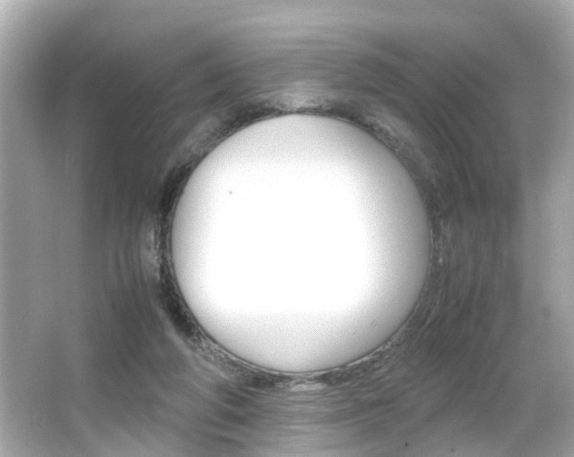 X0000066500210200603170958