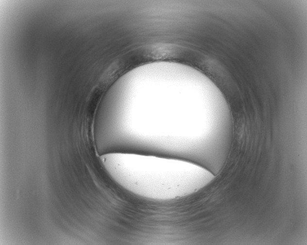 X0000066500214200603170958