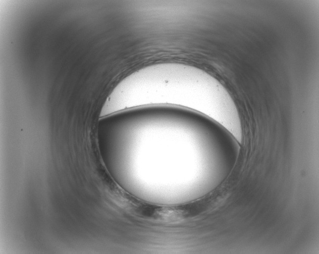 X0000066500221200603170958