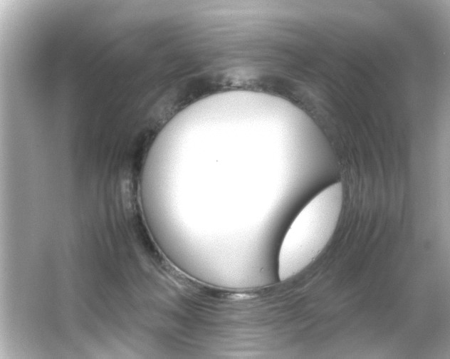X0000066500222200603170958