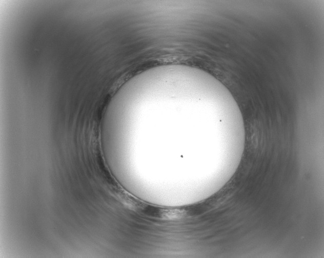 X0000066500226200603170958