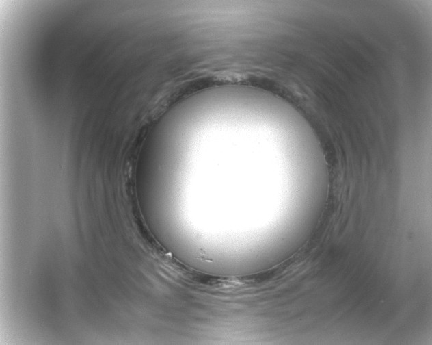 X0000066500229200603170958