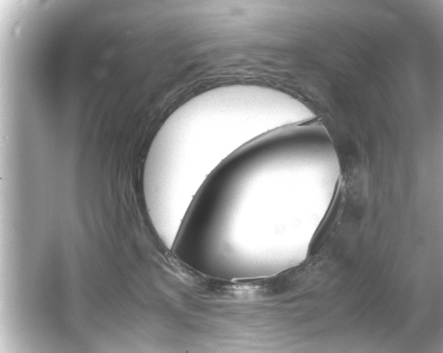 X0000066500233200603170958