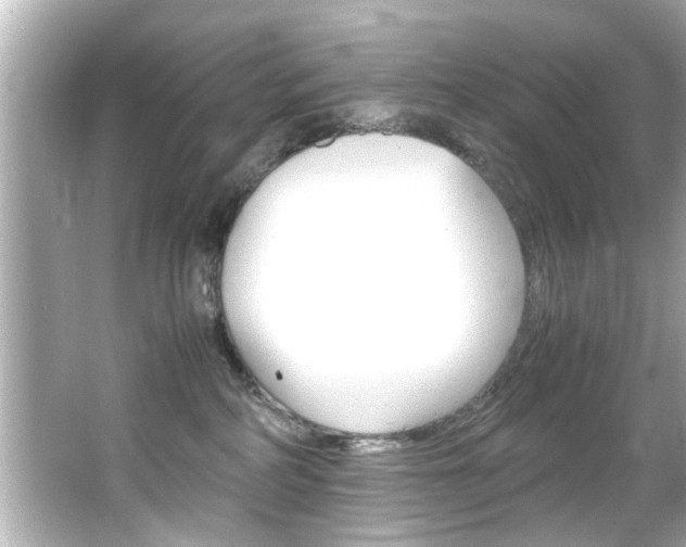 X0000066500234200603170958