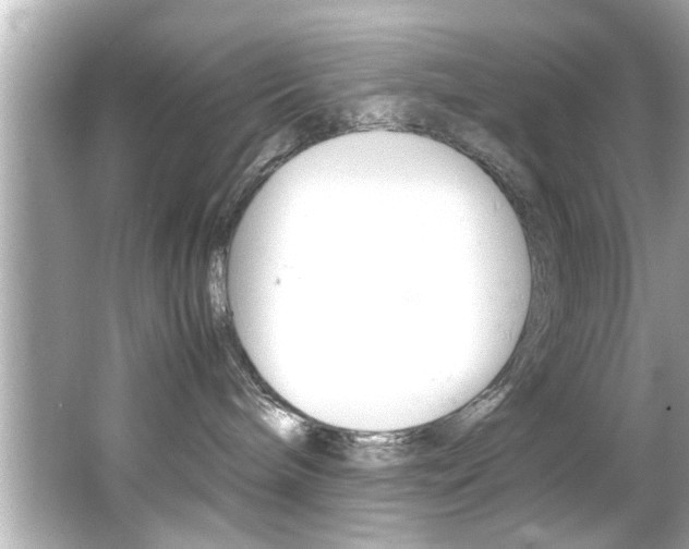 X0000066500240200603170958