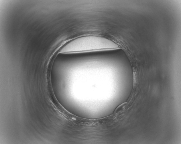 X0000066500243200603170957