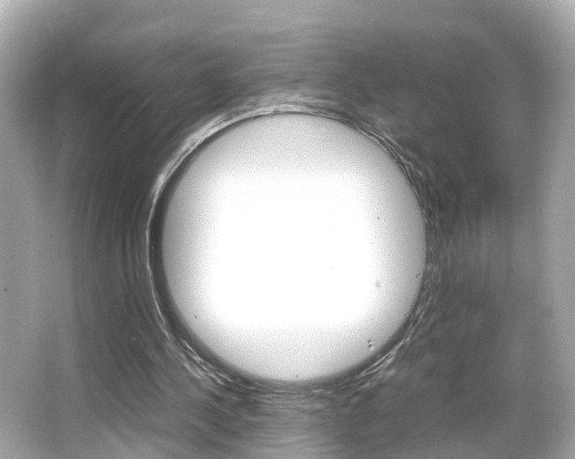 X0000066500244200603170957
