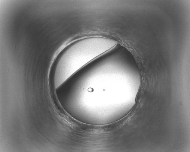 X0000066500246200603170957