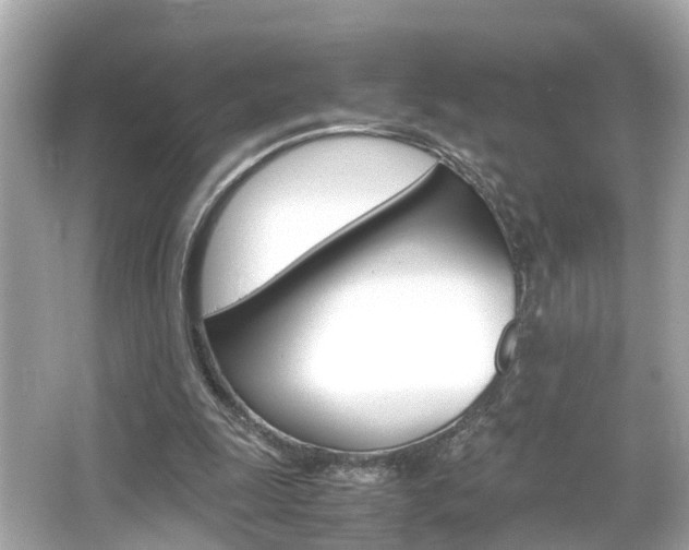 X0000066500247200603170957