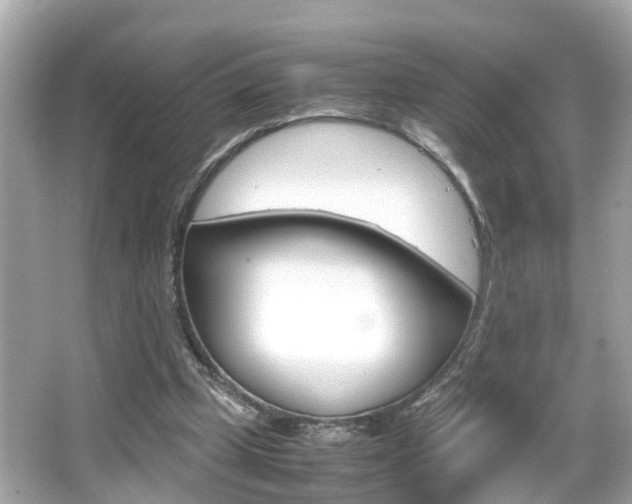 X0000066500249200603170957