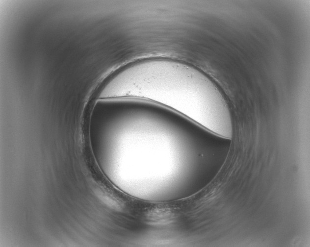 X0000066500252200603170957