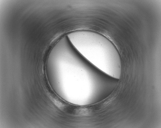 X0000066500253200603170957