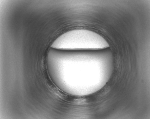X0000066500266200603170957