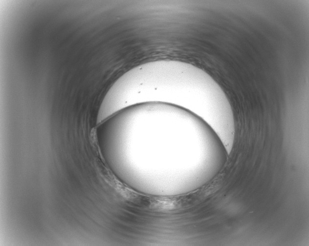 X0000066500276200603170957