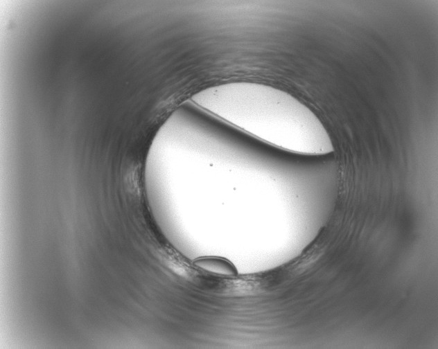 X0000066500286200603170958