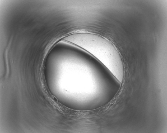 X0000066500289200603170957