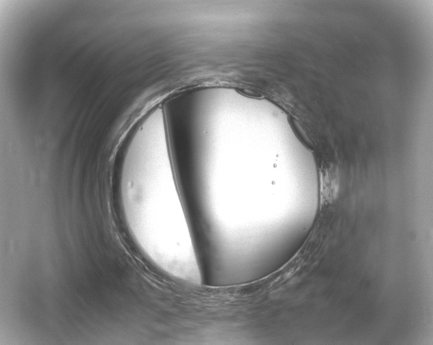 X0000066500291200603170957