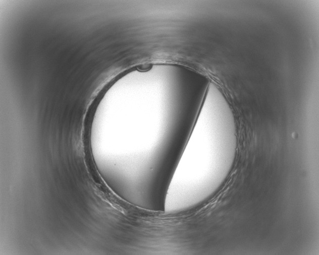 X0000066500292200603170957