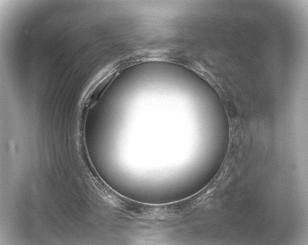X0000066500293200603170957