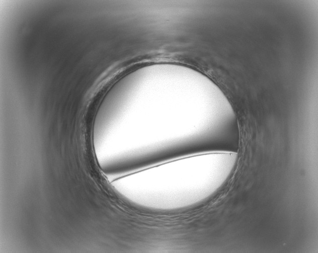 X0000066500295200603170957