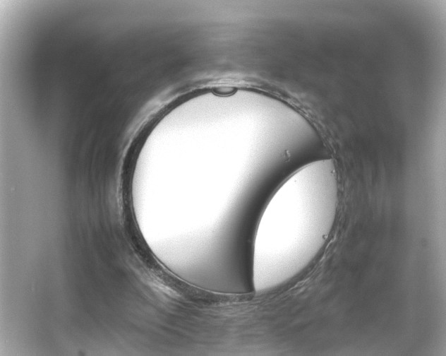 X0000066500296200603170957