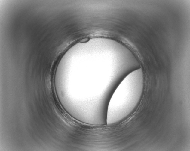 X0000066500298200603170957